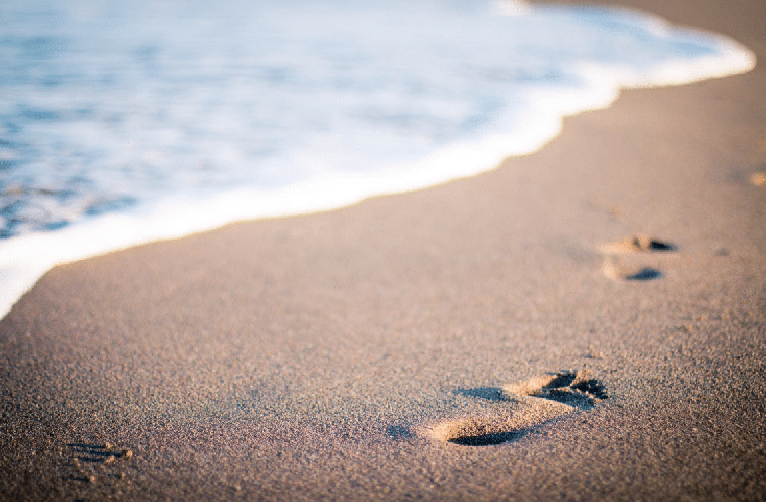 Location de vélo électrique ou musculaire, VTC ou VTT à Crozon Morgat Camaret.